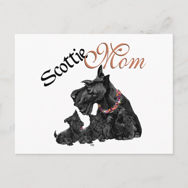 Scottish Terrier Mum & Pups for Mother's Day Postcard (Front)