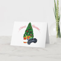 Scottish Terrier Nap Christmas