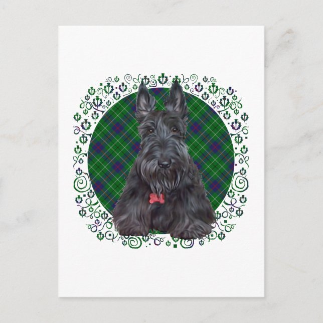 Scottish Terrier on Tartan Postcard (Front)