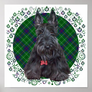 Scottish Terrier on Tartan Poster