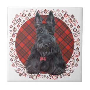 Scottish Terrier on Tartan Tile