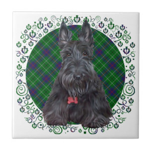 Scottish Terrier on Tartan Tile
