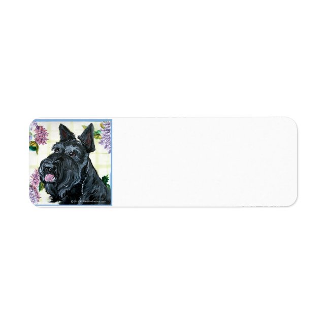 Scottish Terrier Portrait (Front)