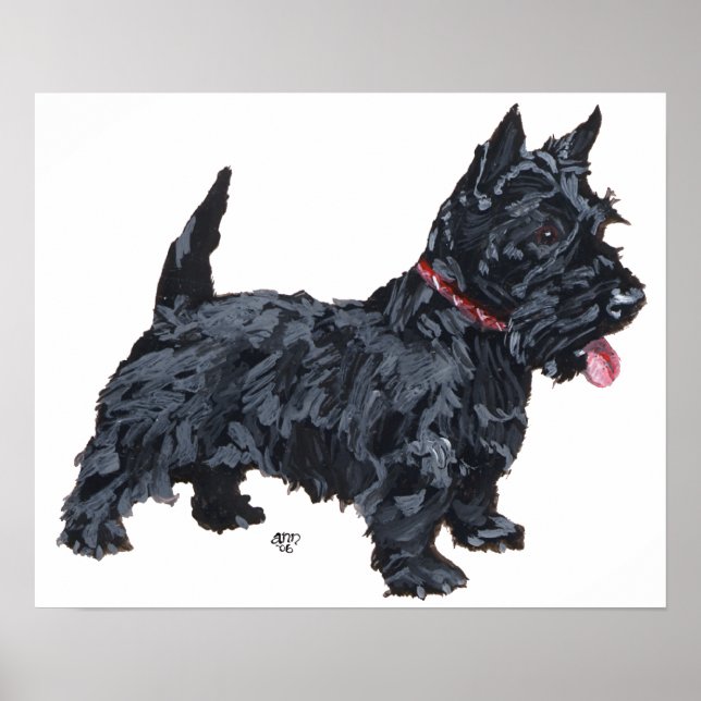 Scottish Terrier Poster (Front)