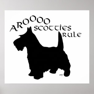 Scottish Terrier Poster