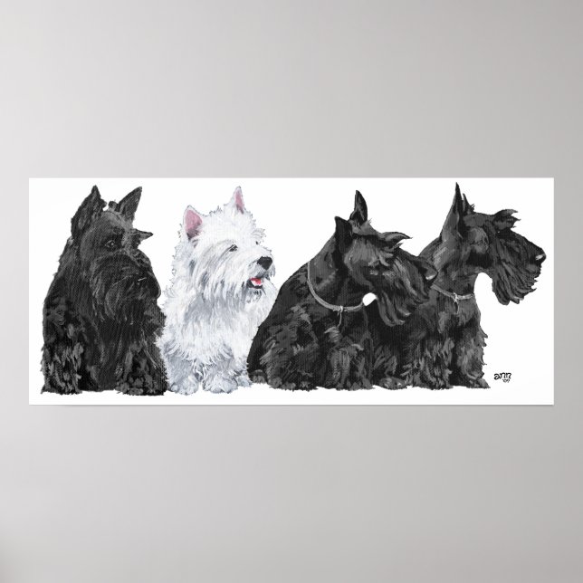 Scottish Terrier Poster (Front)