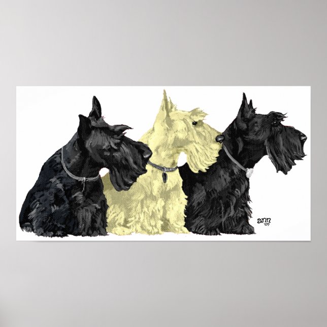 Scottish Terrier Poster (Front)