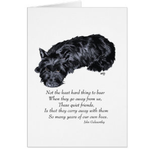 Scottish Terrier Rainbow Bridge