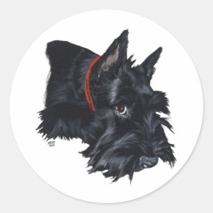 Scottish Terrier Resting Classic Round Sticker