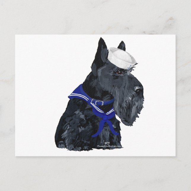 Scottish Terrier Sailor Postcard (Front)