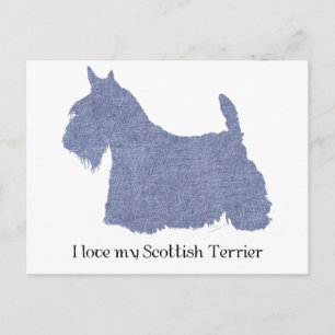 Scottish Terrier Silhouette in Denim Postcard