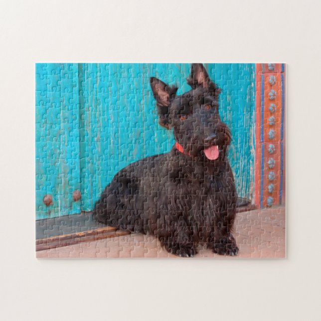 Scottish Terrier sitting by colourful doorway Jigsaw Puzzle (Horizontal)