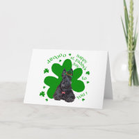 Scottish Terrier St. Paddys Day