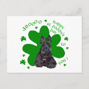Scottish Terrier St. Paddys Day Postcard