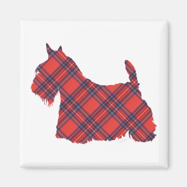 Scottish Terrier Stewart Tartan Magnet (Front)