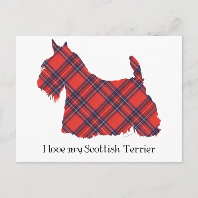 Scottish Terrier Stewart Tartan Postcard (Front)