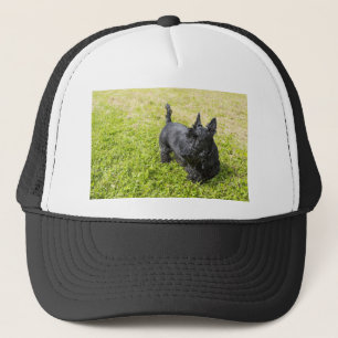 Scottish Terrier Trucker Hat