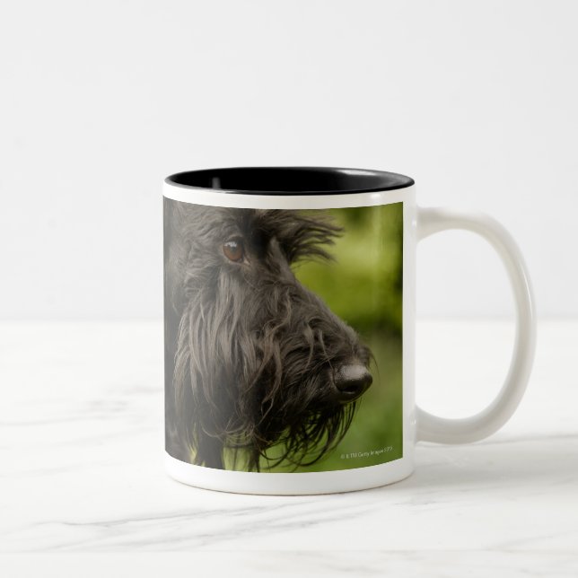 Scottish Terrier Two-Tone Coffee Mug (Right)