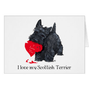 Scottish Terrier Valentine