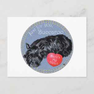 Scottish Terrier Valentine Holiday Postcard