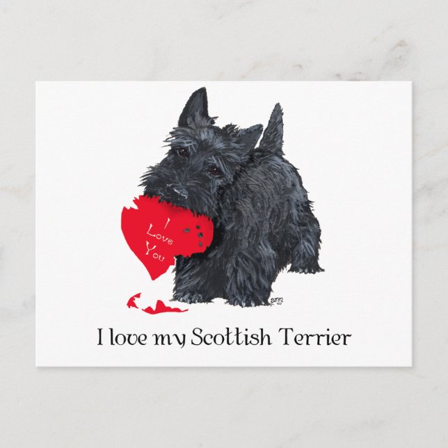 Scottish Terrier Valentine Holiday Postcard (Front)