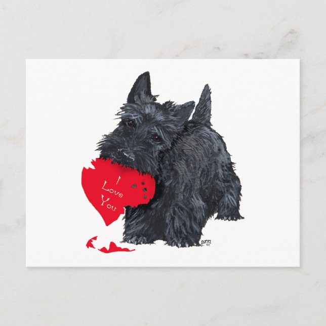 Scottish Terrier Valentine Holiday Postcard (Front)