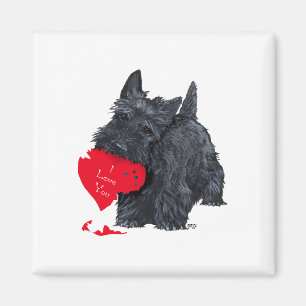 Scottish Terrier Valentine Magnet