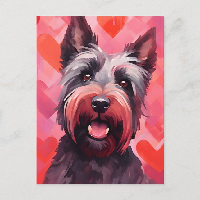 Scottish Terrier Valentines day Postcard (Front)