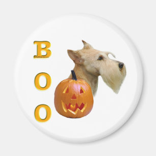 Scottish Terrier (wheaten) Boo Magnet