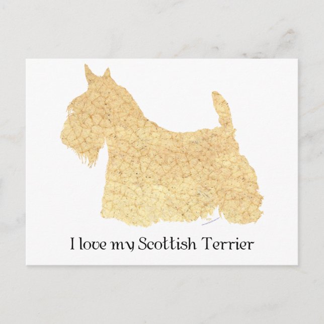 Scottish Terrier Wheaten Silhouette Postcard (Front)