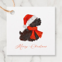 Scottish Terrier with Santa Hat & Scarf