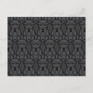 Scottish Terriers Postcard