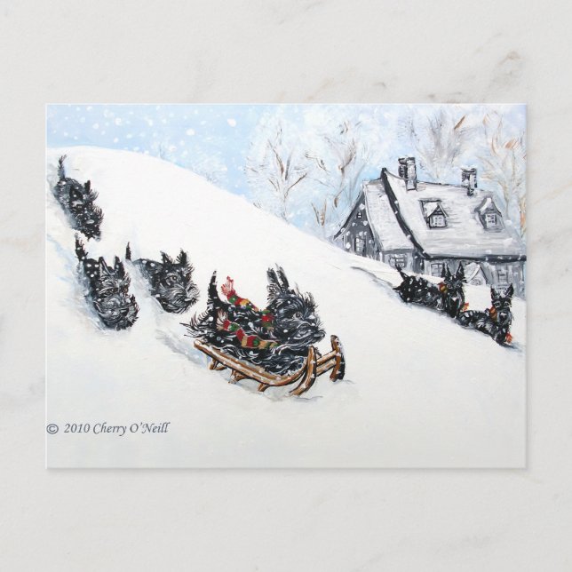 Scottish Terriers Sledding Postcard (Front)