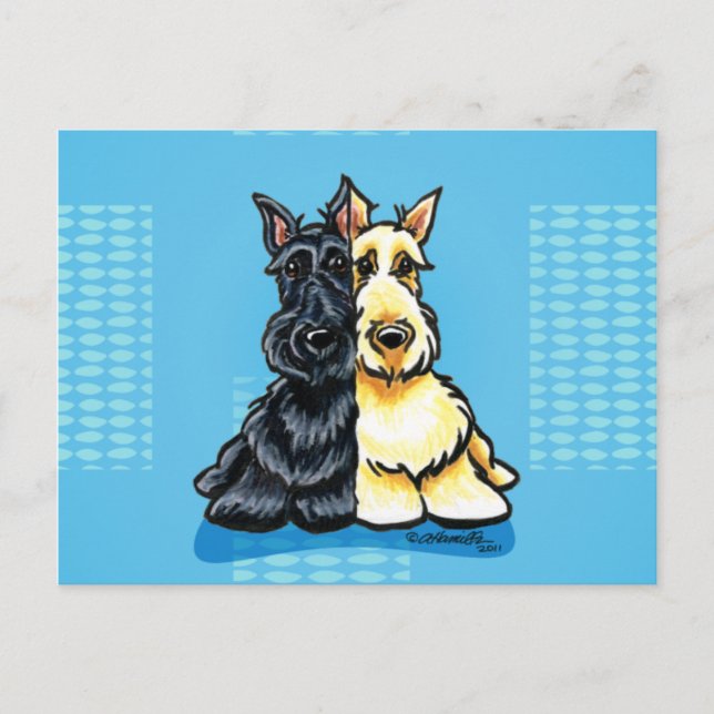 Scottish Terriers Two of a Kind Postcard (Front)