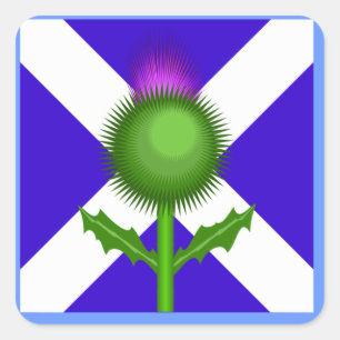 Scottish Thistle and Flag, Square Sticker