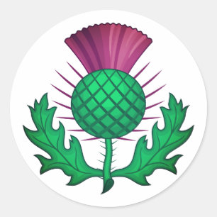 Scottish Thistle Classic Round Sticker