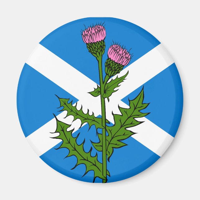 Scottish thistle magnet (Front)