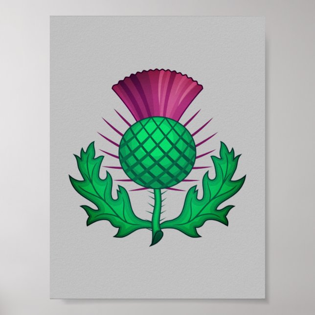 Scottish Thistle Poster (Front)