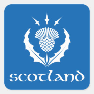 Scottish Thistle Sticker