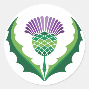 Scottish Thistle Sticker