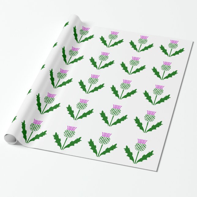 Scottish Thistle Wrapping Paper (Unrolled)