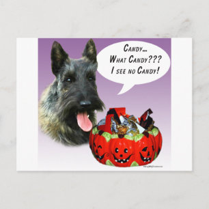 ScottishTerrier Halloween Candy Postcard