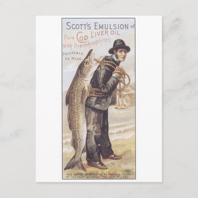 Scotts Emulsion Cod Liver Oil Postcard (Front)