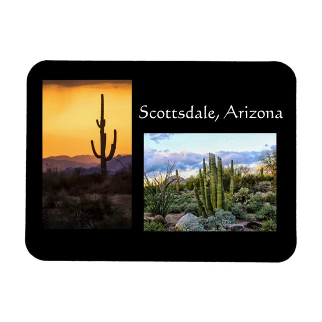 Scottsdale landscape duet magnet (Horizontal)