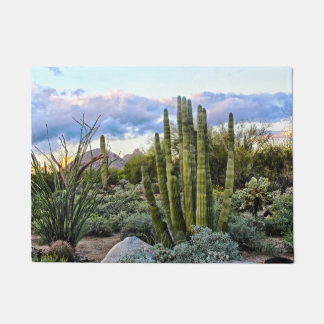 Scottsdale Succulent Sunset Doormat (Front)