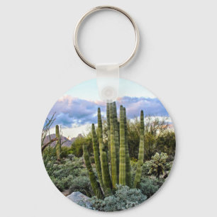 Scottsdale succulent Sunset Key Ring