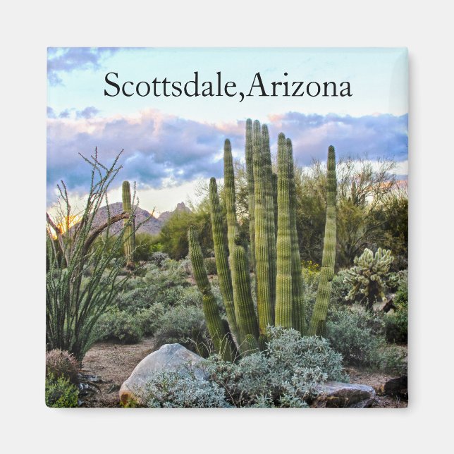 Scottsdale Succulent Sunset Magnet (Front)