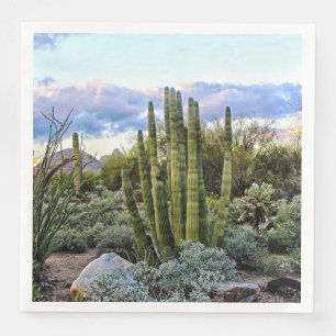 Scottsdale Succulent Sunset Napkin