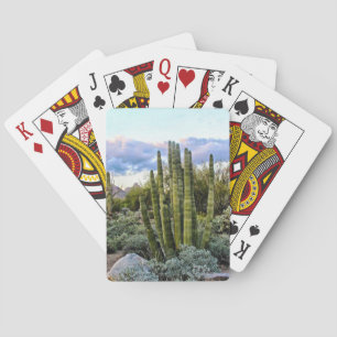 Scottsdale Succulent Sunset Playing Cards