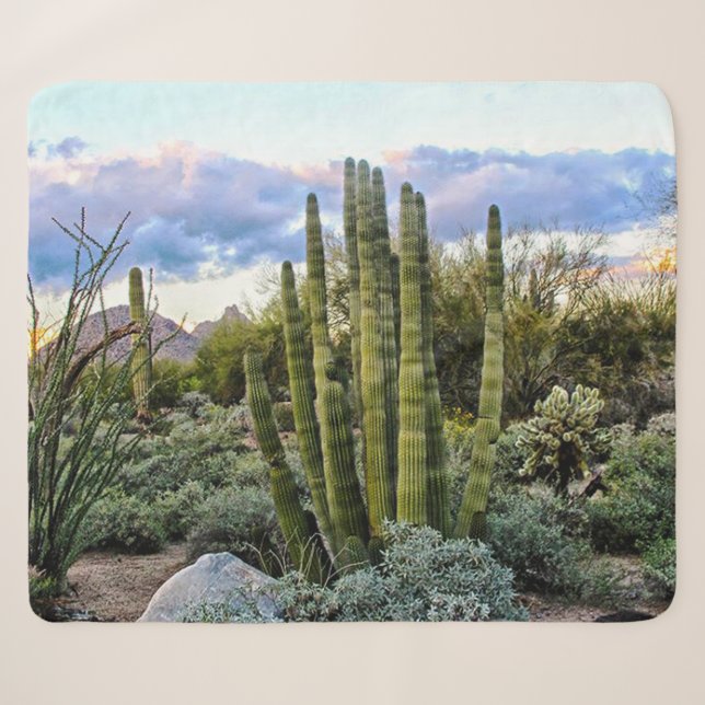 Scottsdale Succulent Sunset Sherpa Blanket (Front (Horizontal))